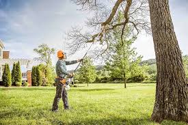 Best Hazardous Tree Removal  in Oak Harbor, WA